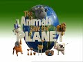 Supermarket Bags - The Animals Save The Planet