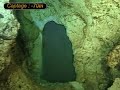 Vid�o du Goul de la Tannerie par -174m de prof.