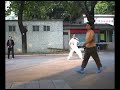 Yang Style Taichi in Guang Dong part 2