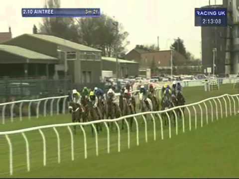 paddy power cheltenham