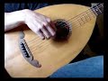 Guitar lute, Bruunari no. 199