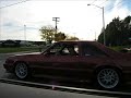 mustangs racing saleen, 5.0