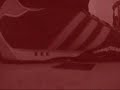My New Adidas... My New Adidas...