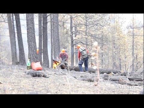 Update on Smith Creek wildfire from behind the fire line