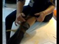 süper komik hülya avşar agda kuaför kahkaha <b>tufanı</b> sex ibra