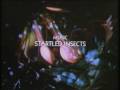 Startled Insects - The fastest claw in the west