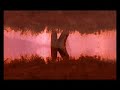 jayfaceperfection-b.html