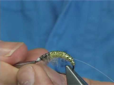 nymph - Tying a Czech Style Nymph by Davie McPhail.