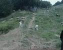 Su �al??malar? 4