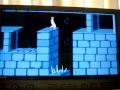 Prince of Persia Dosbox PSP