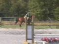 videos de Davey Hunter, Pony Club, Event Propsect FOR SALE