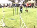 Jana und Jasper, K�ngen, 27.09.08, Jumping