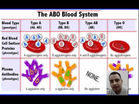 how to define blood group