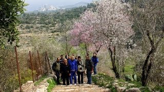 رائع ،قرية سطاف قضاء القدس عيون وبرك ومدرجات زراعية صطاف رائع ،قرية سطاف قضاء القدس عيون وبرك ومدرجات زراعية صطاف
