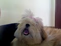 EU SOU LINDA ! MAE ESSA EH PRA VC !