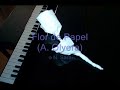 flor de papel / a paper flower