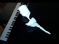 flor de papel / a paper flower