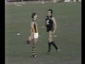 VFL R8 1984 - Carlton v Hawthorn