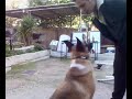 jody.mp4
