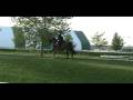 Ggold Trots Like a CHAMPION!