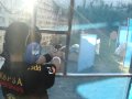 Miko Andres World's Youngest Standard Shooter