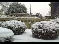 Snow Day on Capitol Hill