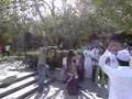 International Festival - Belly Dancers part 2