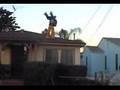 idiots on roof