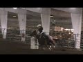 11-year-old BW Tees Dasher comes out of the broodmare pen to win big money at the Huron Barrel Bash in Huron, SD. Dasher was a futurity winner and rodeo money earner before delivering 4 foals. We weaned this year's colt 3 weeks prior to this amazing run. Dasher is by the great stallion, Dashin Elvis and out of an equally great mare, Tee Chant. She's offered for sale by Bogie Webb at 712-870-1160 or bogiewebb@gmail.com Contact him quick before he changes his mind and keeps her!!