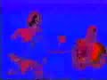 T.A.Z.: The Temporary Autonomous Zone T.A.Z.: The Temporary Autonomous Zone