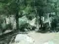 en-el-centro-de-recuperacin-de-aves-rapaces-hay-wifi.html