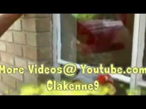 how to repair glass in a window