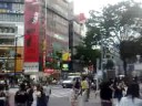 Shibuya traffic light