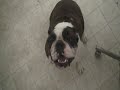 Ms. Beefy Noodles & Jolly Ball Ms. Beefy Noodles & Jolly Ball