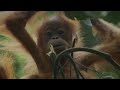 Really beautiful: The Sagan Series (part 3) - A Reassuring Fable - YouTube http://t.co/SH14KTGc