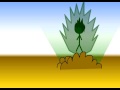 DBZ FLASH ANIMATION DBZ FLASH ANIMATION