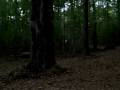 evil dead 2 movie trailer redux