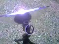 Free Energy - Solar Powered beta Stirling Engine