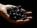 Envidia Kotxina - Marcando Alamabre