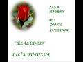 celaleddin dilim tutulur