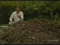 Il Pianeta dei Dinosauri - 4a puntata (1)