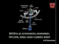 A rocking, climbing robot