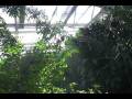 videos de Butterfly Pavilion.mov
