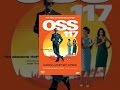 OSS 117: Cairo, Nest of Spies