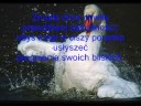 ZAMFIR-The Lonely Shepherd.wmv