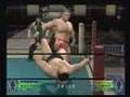 レッスルキングダム Nakanishi vs Lesnar