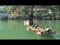 Cormorant Fishing Cormorant Fishing