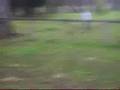 parkour bloopers