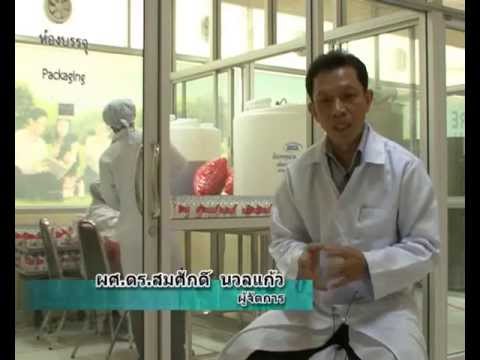 ตรีผลา - รายการ ตักสิลาวาไรตี้ ตอน น้ำตรีผลา (Tripala) จากยาไทยสู่เครื่องดื่มสุขภาพ ขอขอบคุณ :...