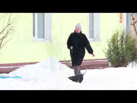 Барановичи день за днем. 13.02.26.